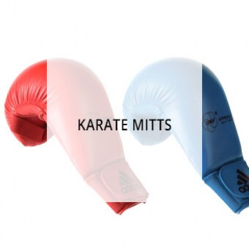 karate-mitts